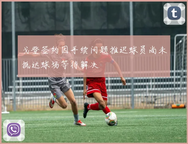 戈登签约因手续问题推迟球员尚未抵达球场等待解决